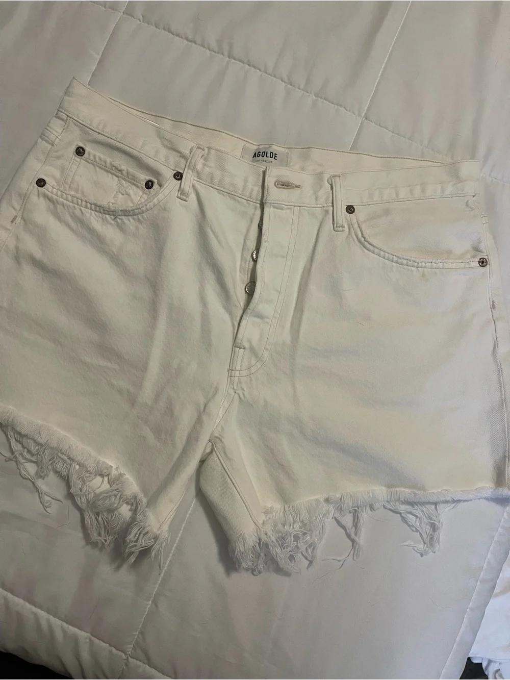 Agolde Parker Long Shorts